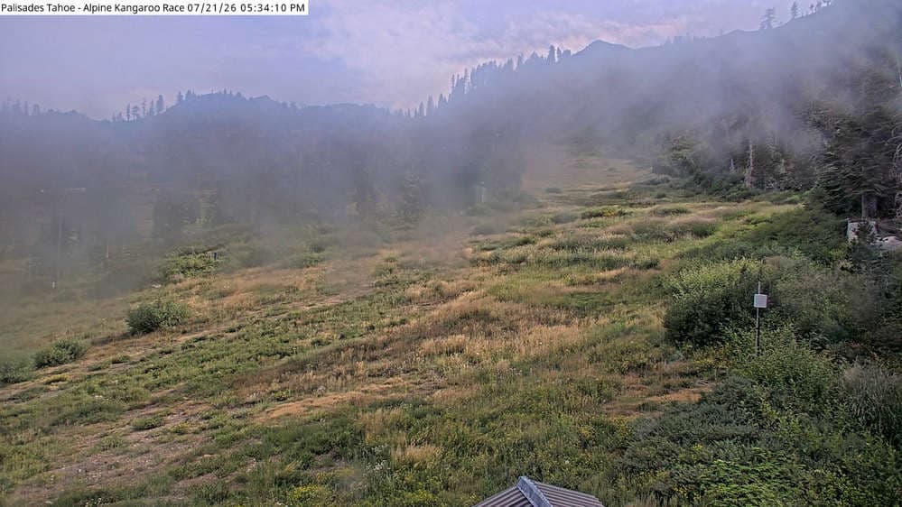 Alpine Race Cam