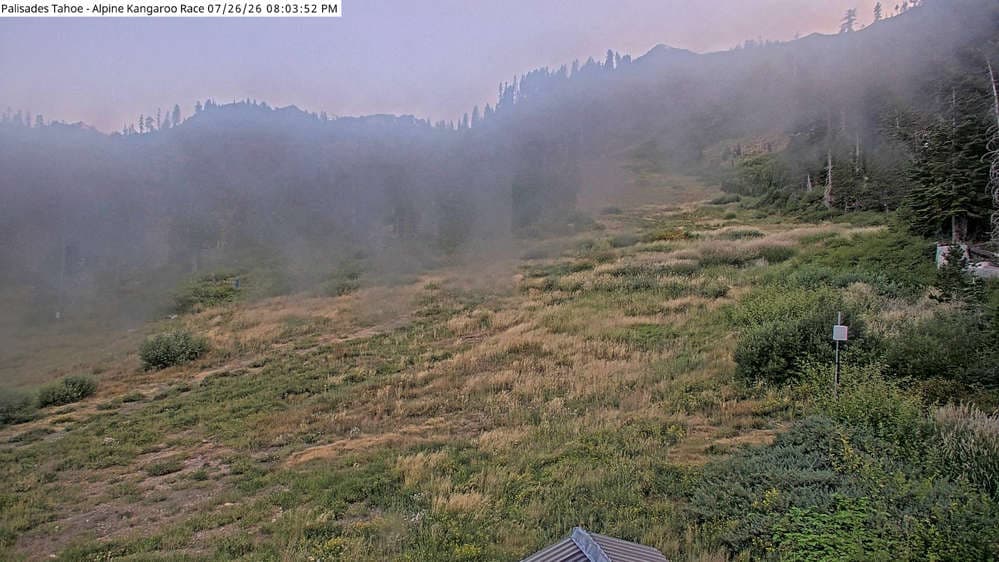 Alpine Race Cam