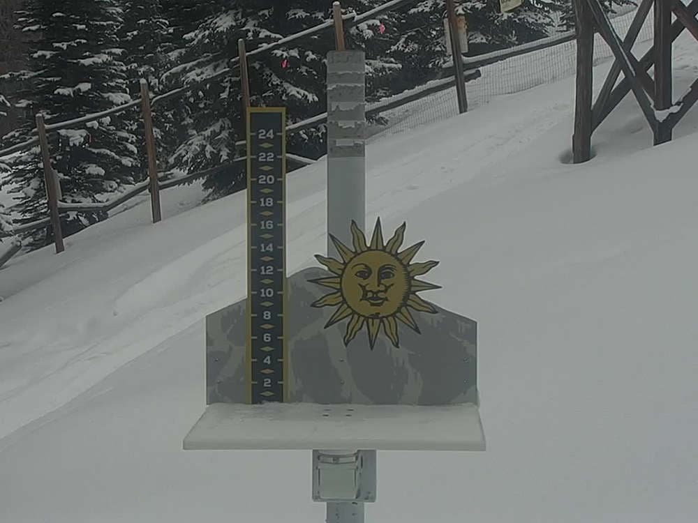 Snow Stake