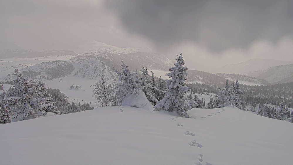 Banff Sunshine - Standish Viewing Deck