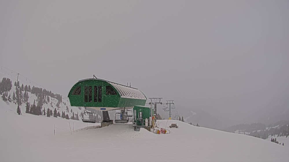 Strawberry Express Unload Cam