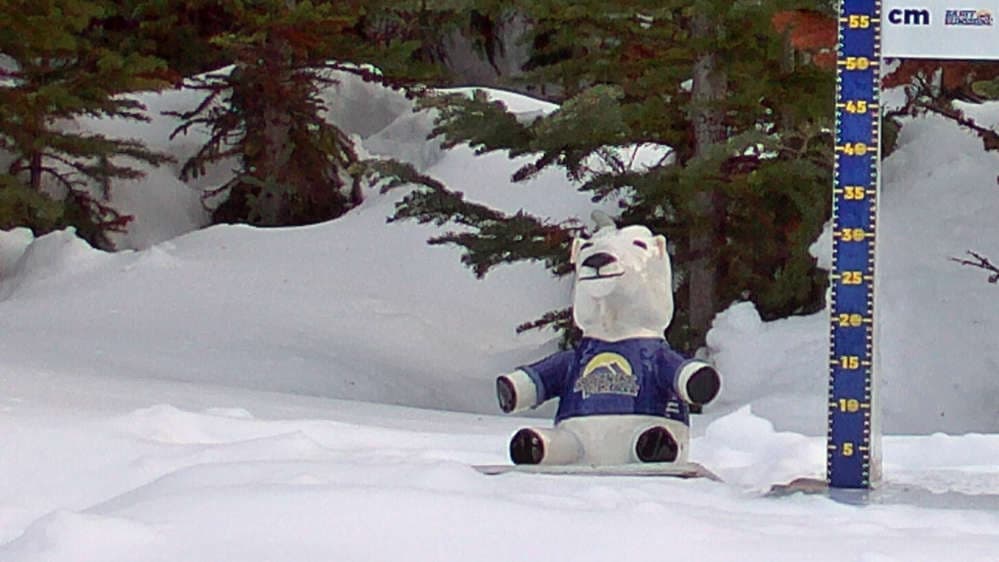 Storm Board & Vincent Van Goat Cleared Daily at 3PM Cam