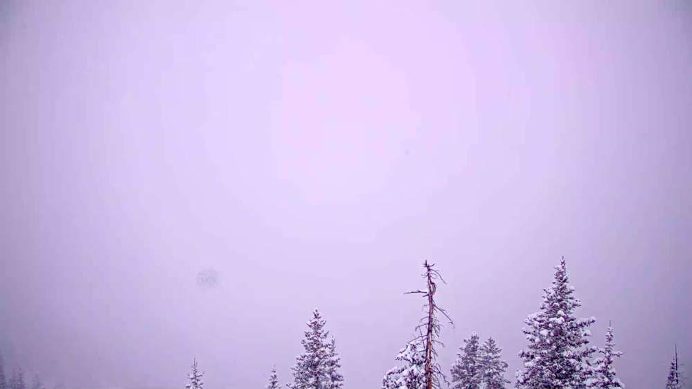 Telluride - See Forever Cam