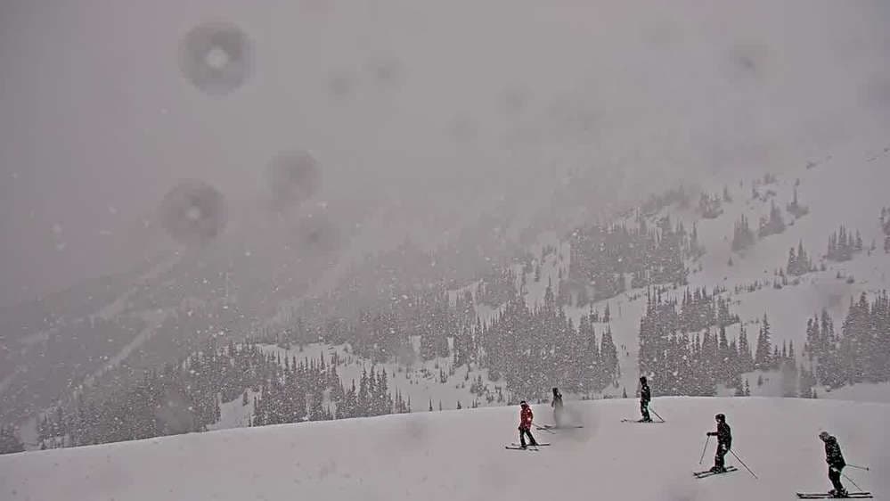 Rendezvous Lodge, Blackcomb Mountain