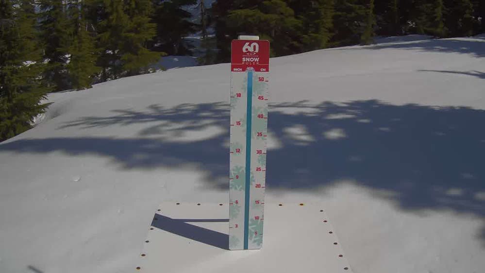 Whistler Snow Stake