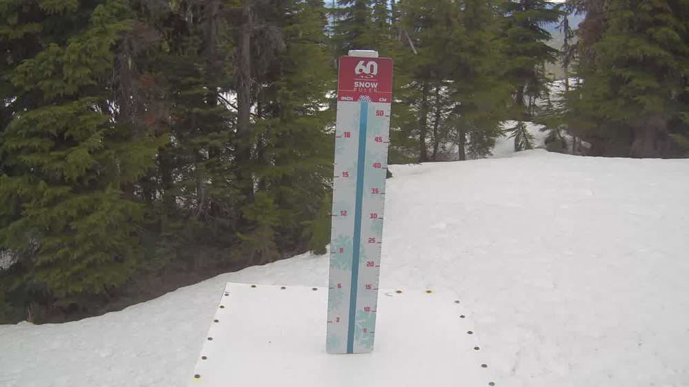 Whistler Snow Stake