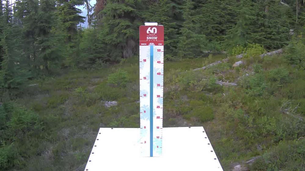 Whistler Snow Stake
