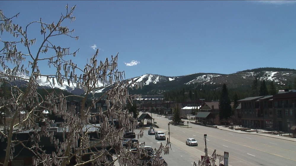 Winter Park town webcam