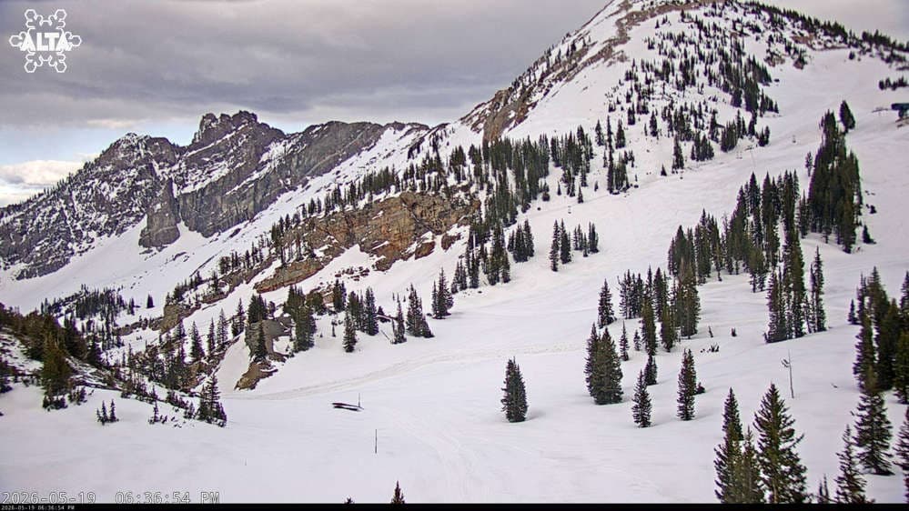 Alta Ski Area - Sugarloaf Peak Mountain webcam