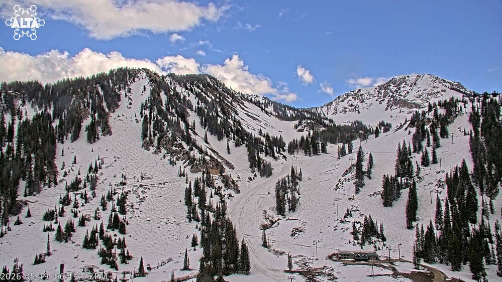 Alta Ski Area - High Rustler Mountain webcam