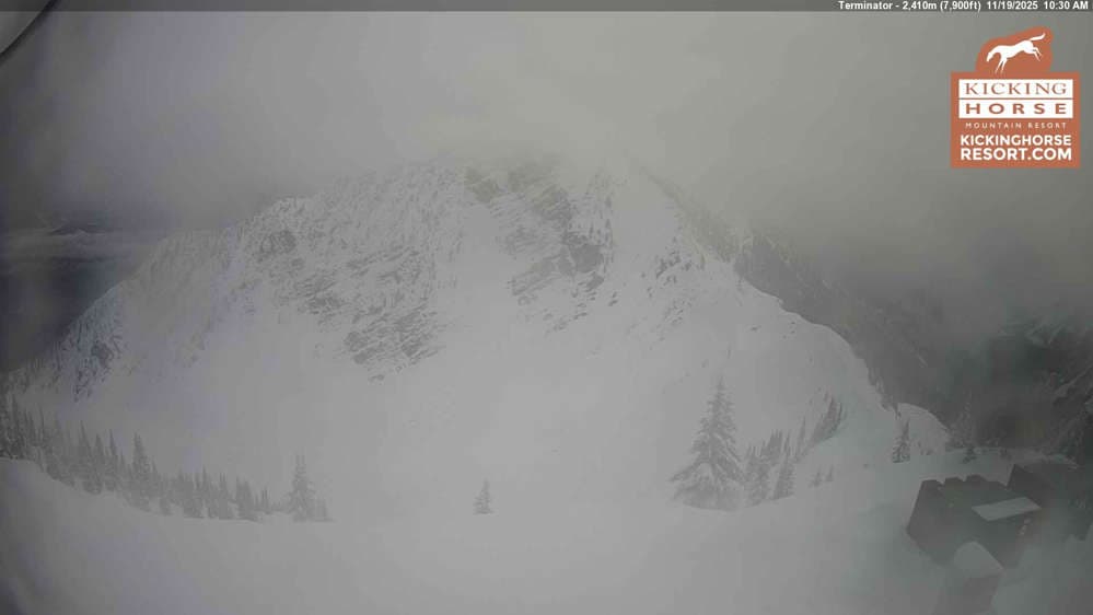 Kicking Horse - Terminator