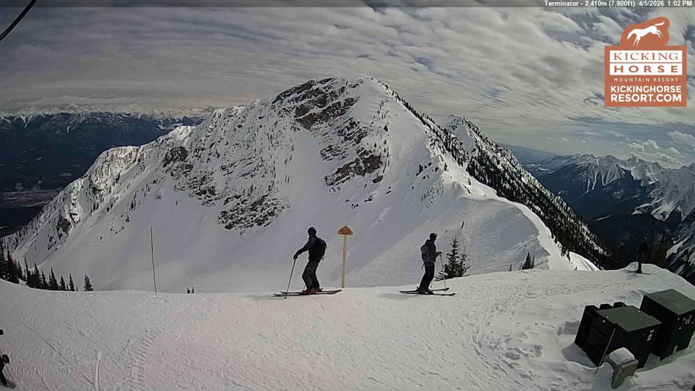 Kicking Horse - Terminator