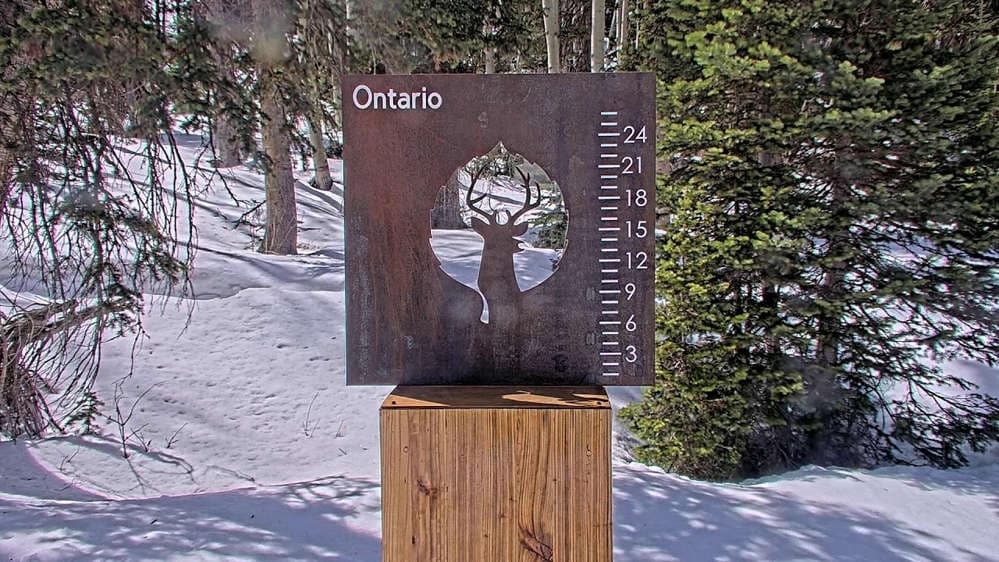 Ontario Snow Stake