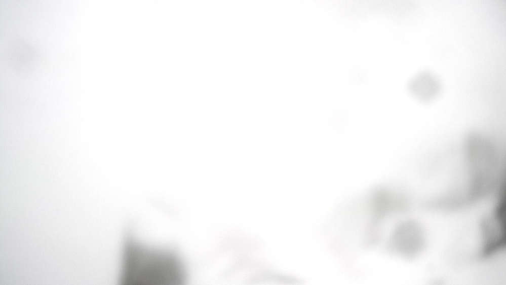 Jackson Hole - Cody Bowl Webcam