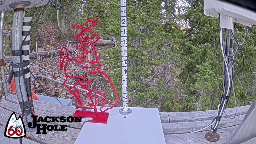 Raymer Snow Stake