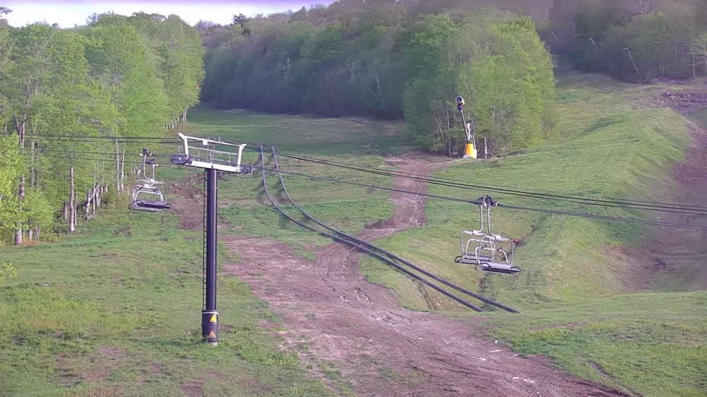 Bear Cam