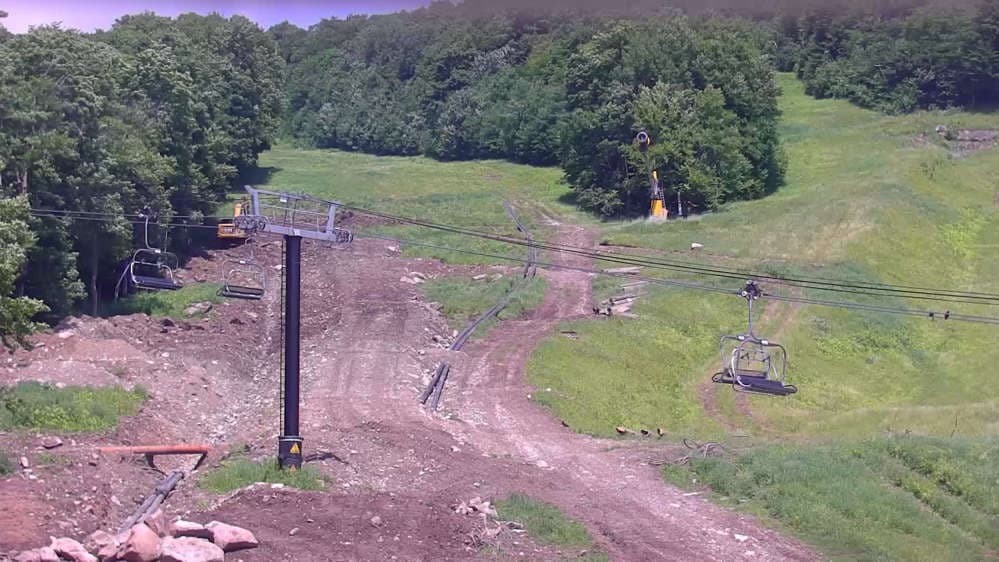 Bear Cam