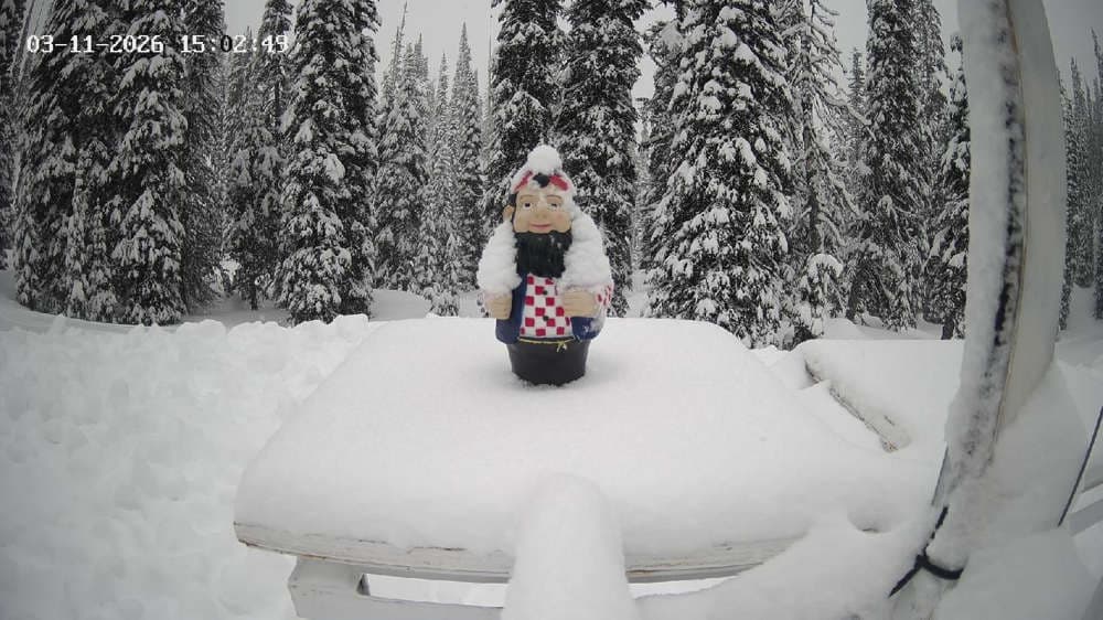 Revelstoke: Gnorm the Powder Gnome