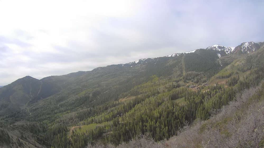 Lookout Cabin Camera