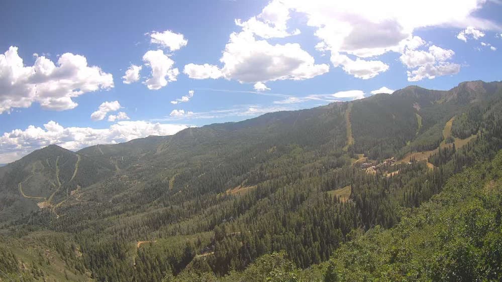Lookout Cabin Camera