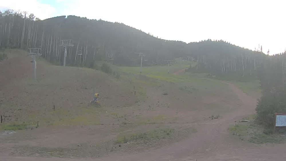 High Meadow