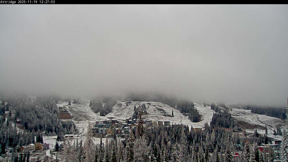 Silver Star Alpine Meadows Webcam