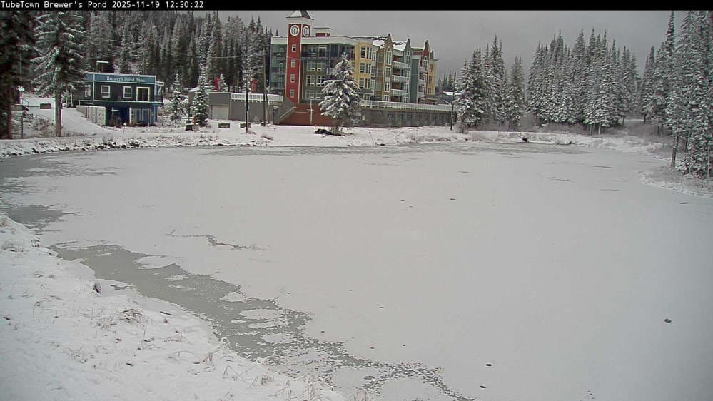 Silver Star Brewer's Pond Webcam