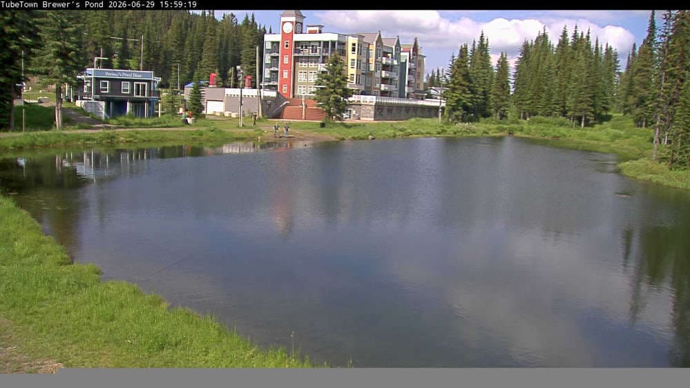 Silver Star Brewer's Pond Webcam
