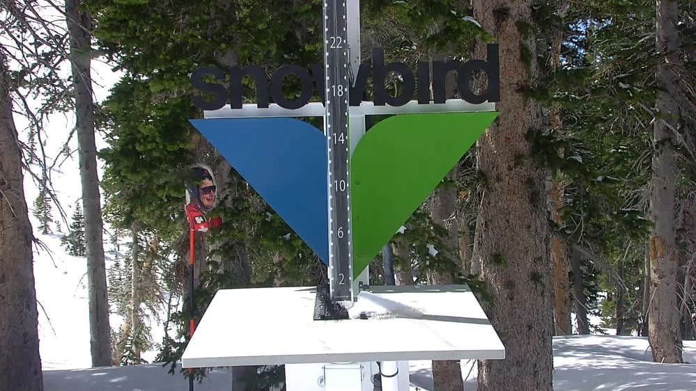 Snowbird - Snowstake