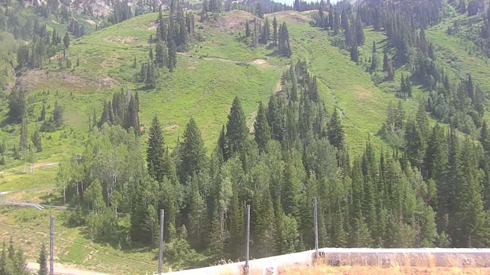 Snowbird - Peruvian Gulch