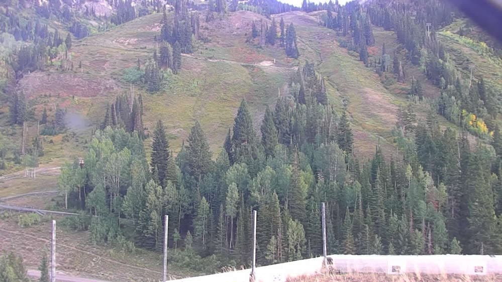 Snowbird - Peruvian Gulch