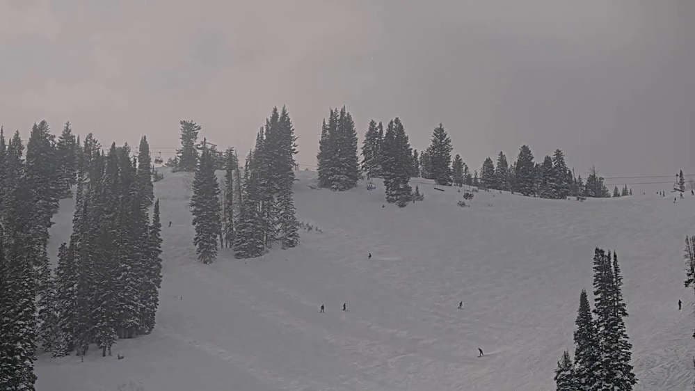 Solitude: Sunshine Bowl Cam