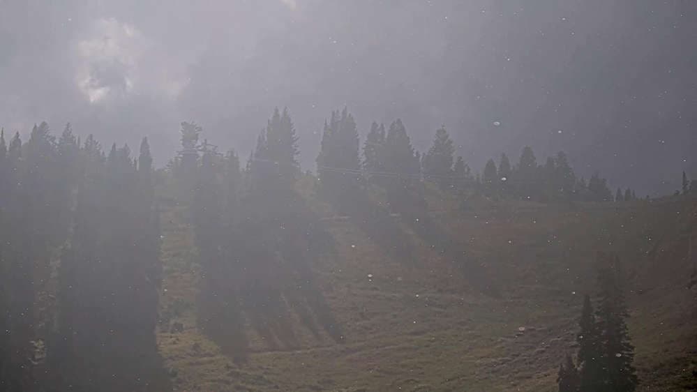 Solitude: Sunshine Bowl Cam