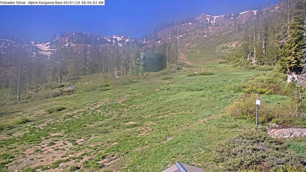Alpine Race Cam