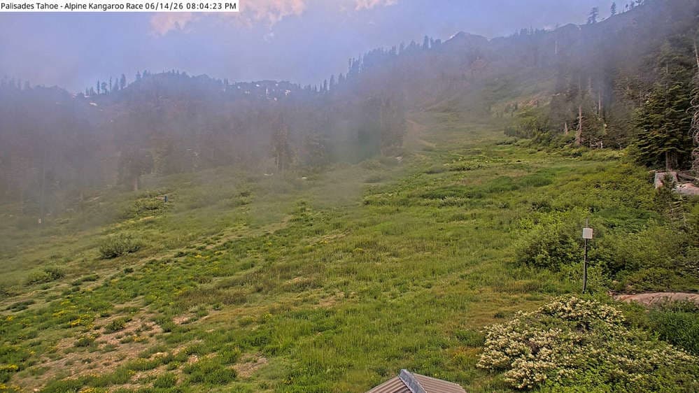 Alpine Race Cam