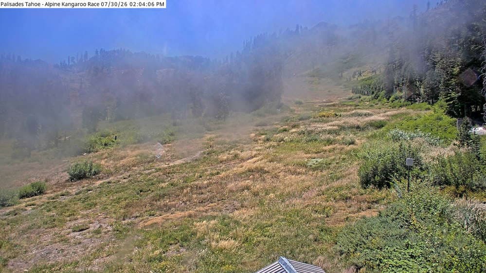 Alpine Race Cam