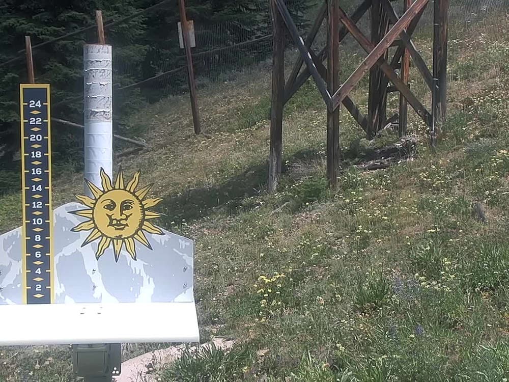 Snow Stake