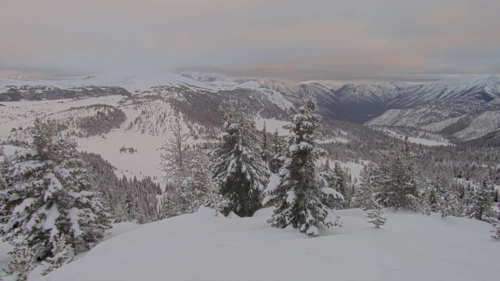 Banff Sunshine - Standish Viewing Deck