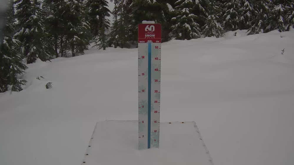 Whistler Snow Stake