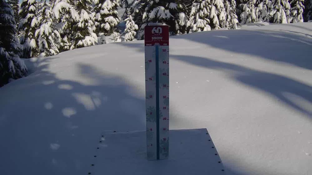 Whistler Snow Stake