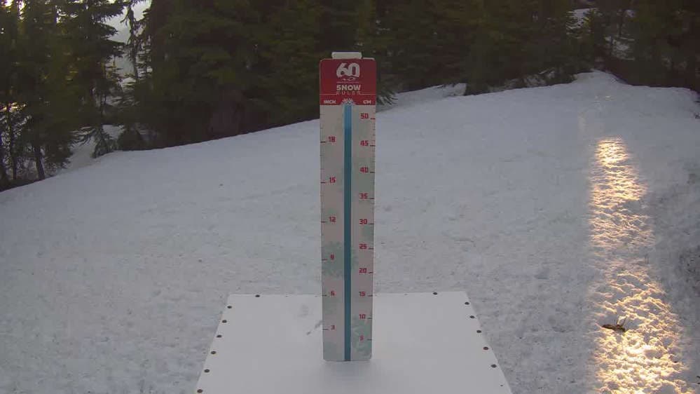 Whistler Snow Stake