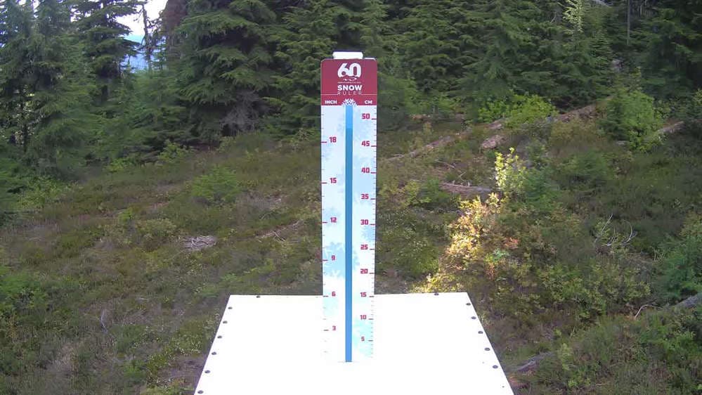 Whistler Snow Stake