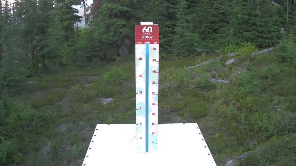 Whistler Snow Stake