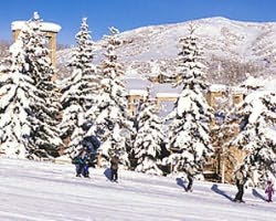 Timberline Condominiums*