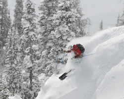 Ski Vacation Package - Get your 4th or 5th night FREE at Town Square Inns of Jackson Hole!