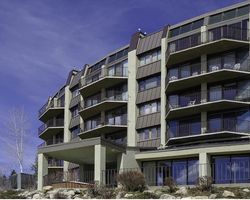 Bronze Tree Condominiums