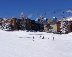 Shadowbrook Condominiums