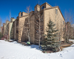 Snowcrest