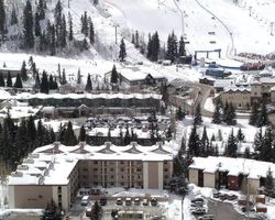 The Wren at Vail